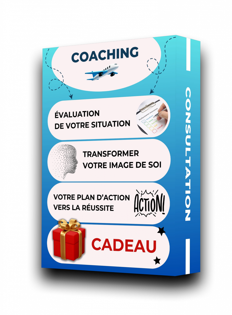 programme permis minceur, coaching et consultation vu par emmanuel mouanga-zou, walid morsli et alain delabos, séance audio hypnothérapie, plus de 20 recettes