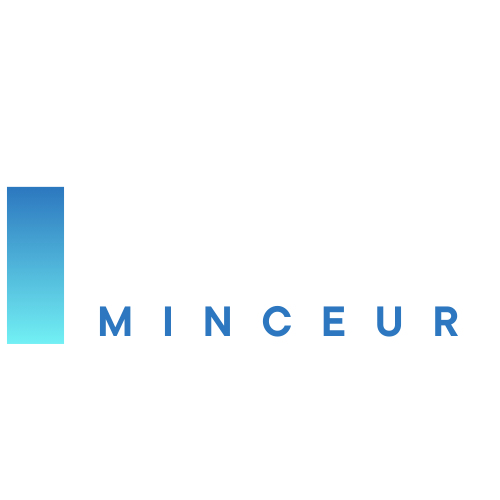 logo noir permis minceur vu par emmanuel mouanga-zou, walid morsli et alain delabos
